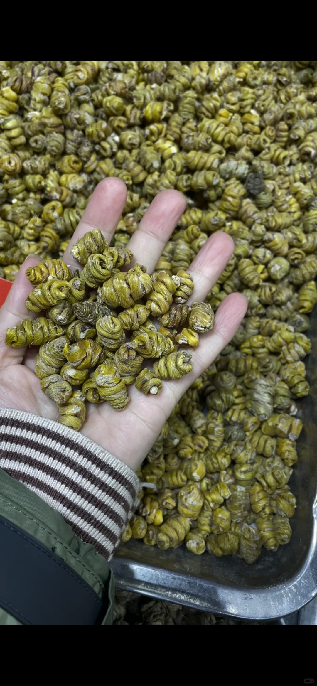 不要在展会上买假货❗️❗️