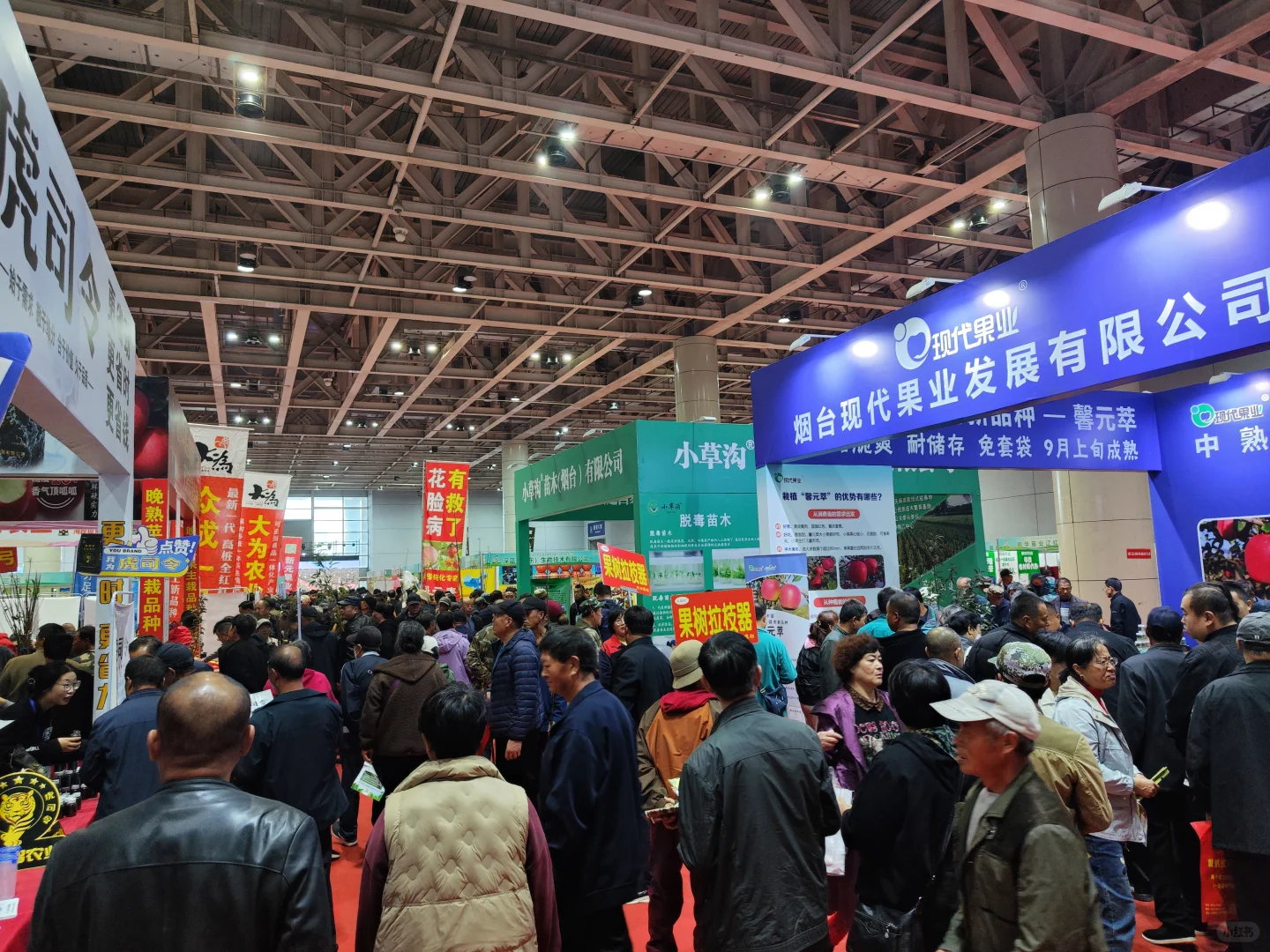 烟台年货会招商啦，快来摆摊赚钱啦