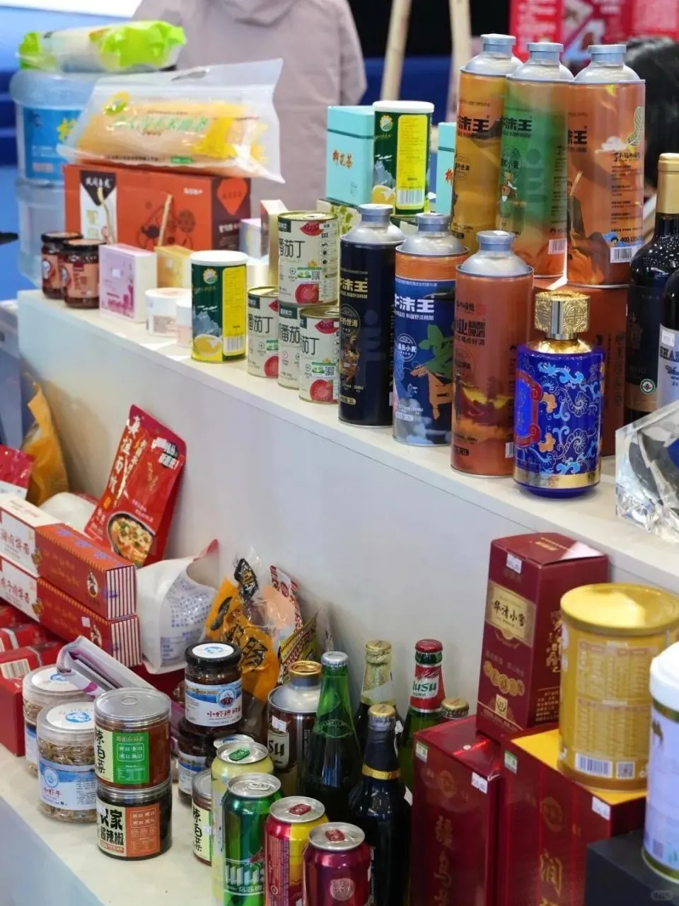 2025新疆春博会等您来