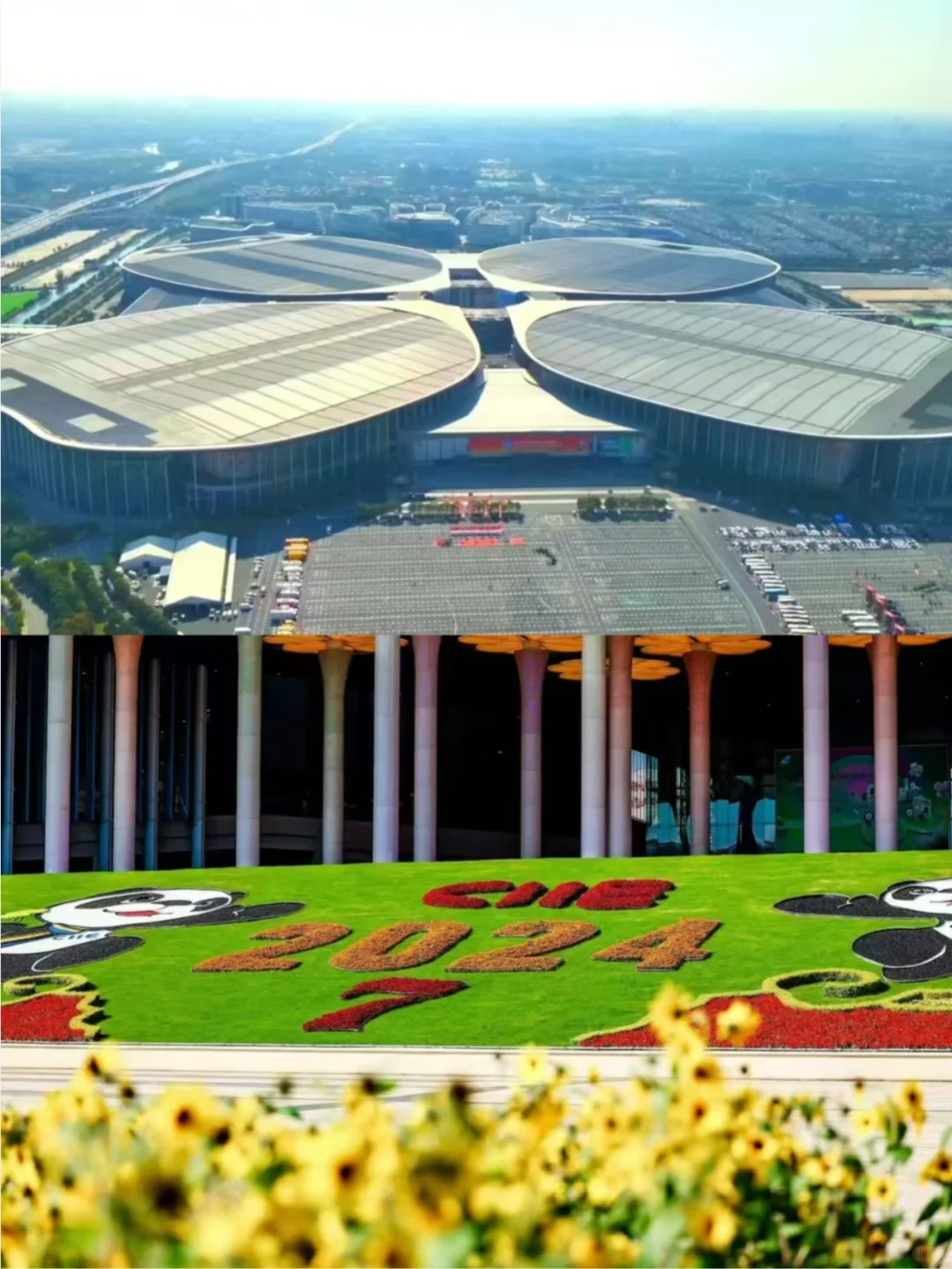 中国国际进口博览会-回顾