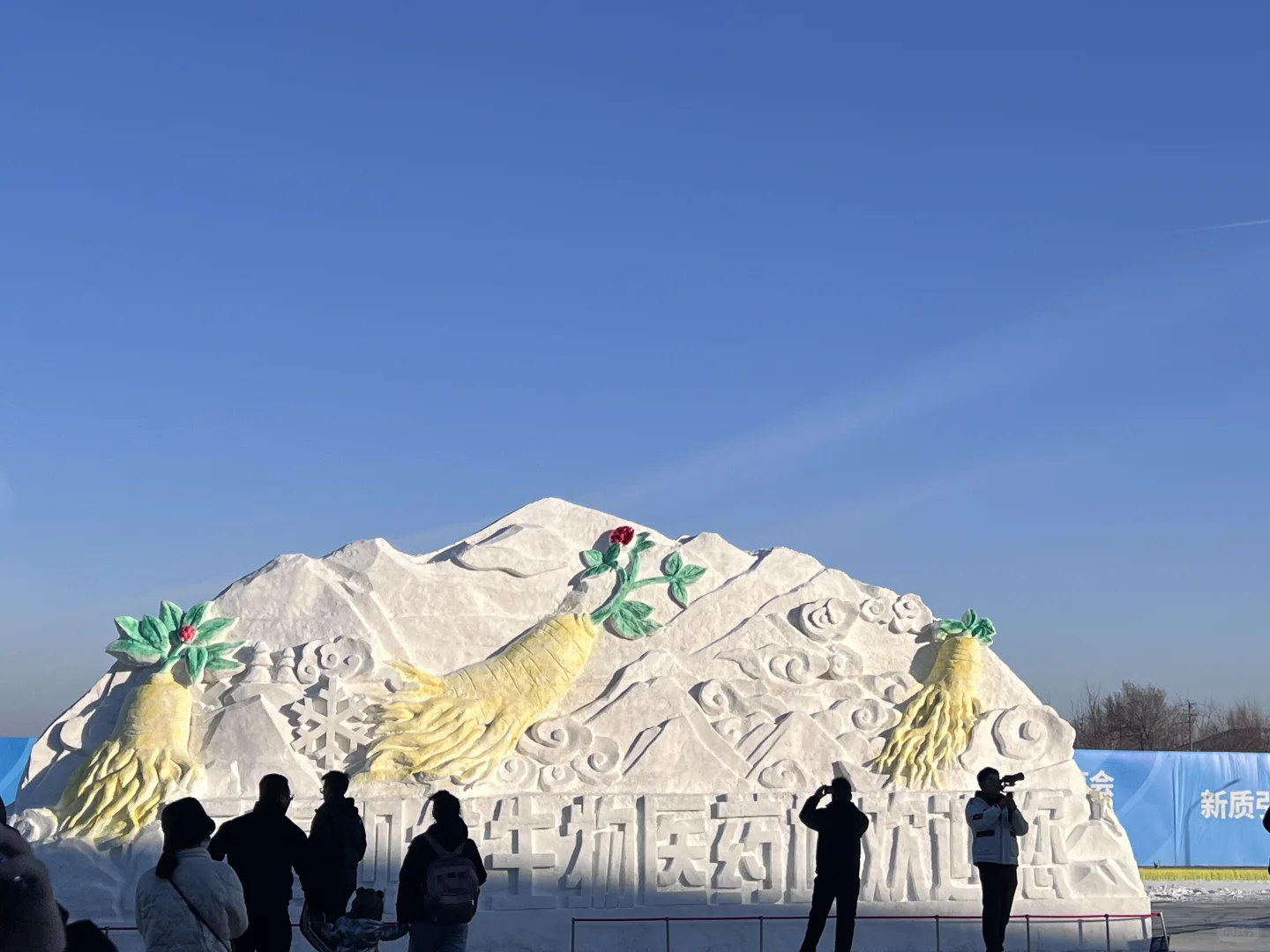 不虚此行！东北亚中医药健康博览会