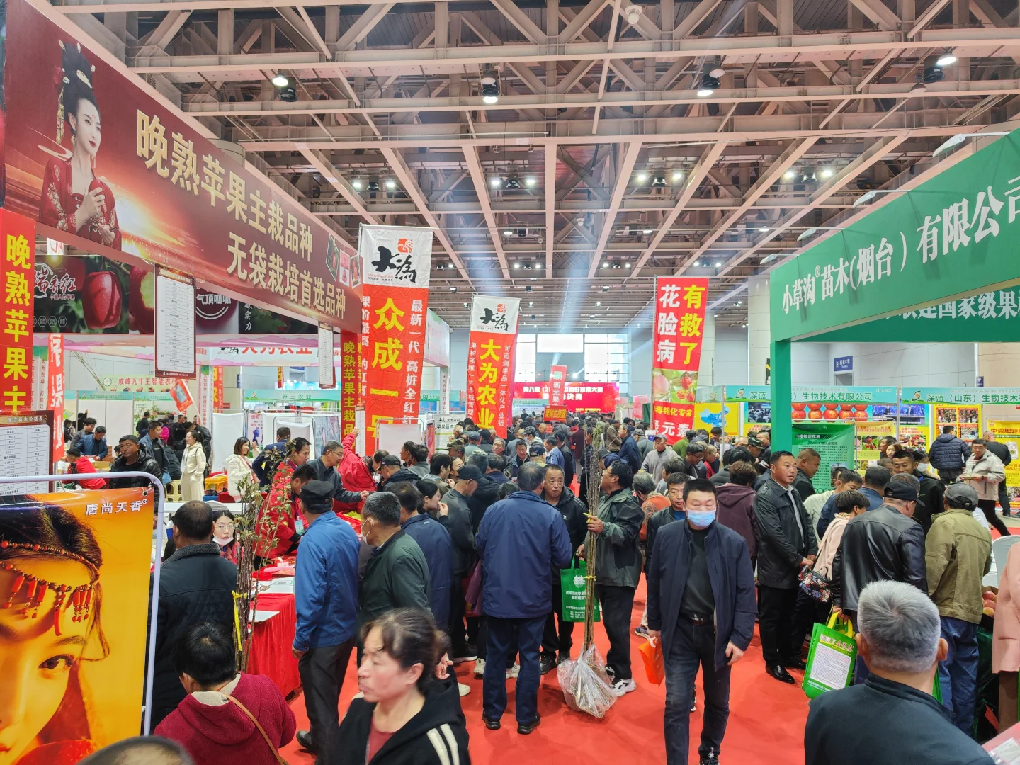 烟台年货会招商啦，快来摆摊赚钱啦