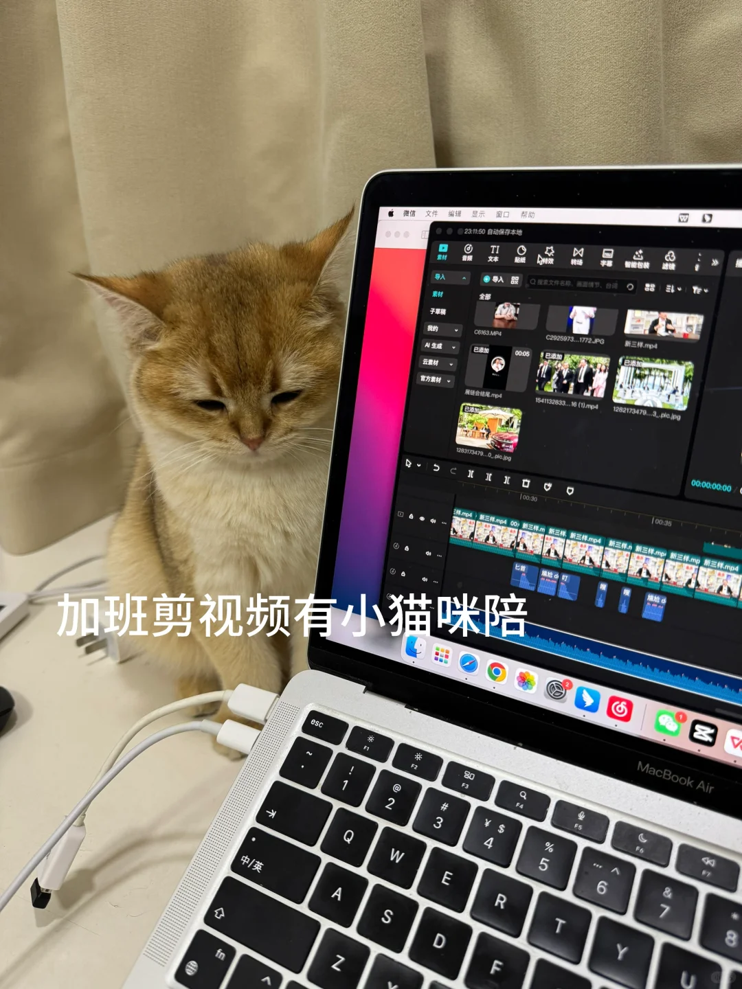 plog| 会展人打工一天都干啥…