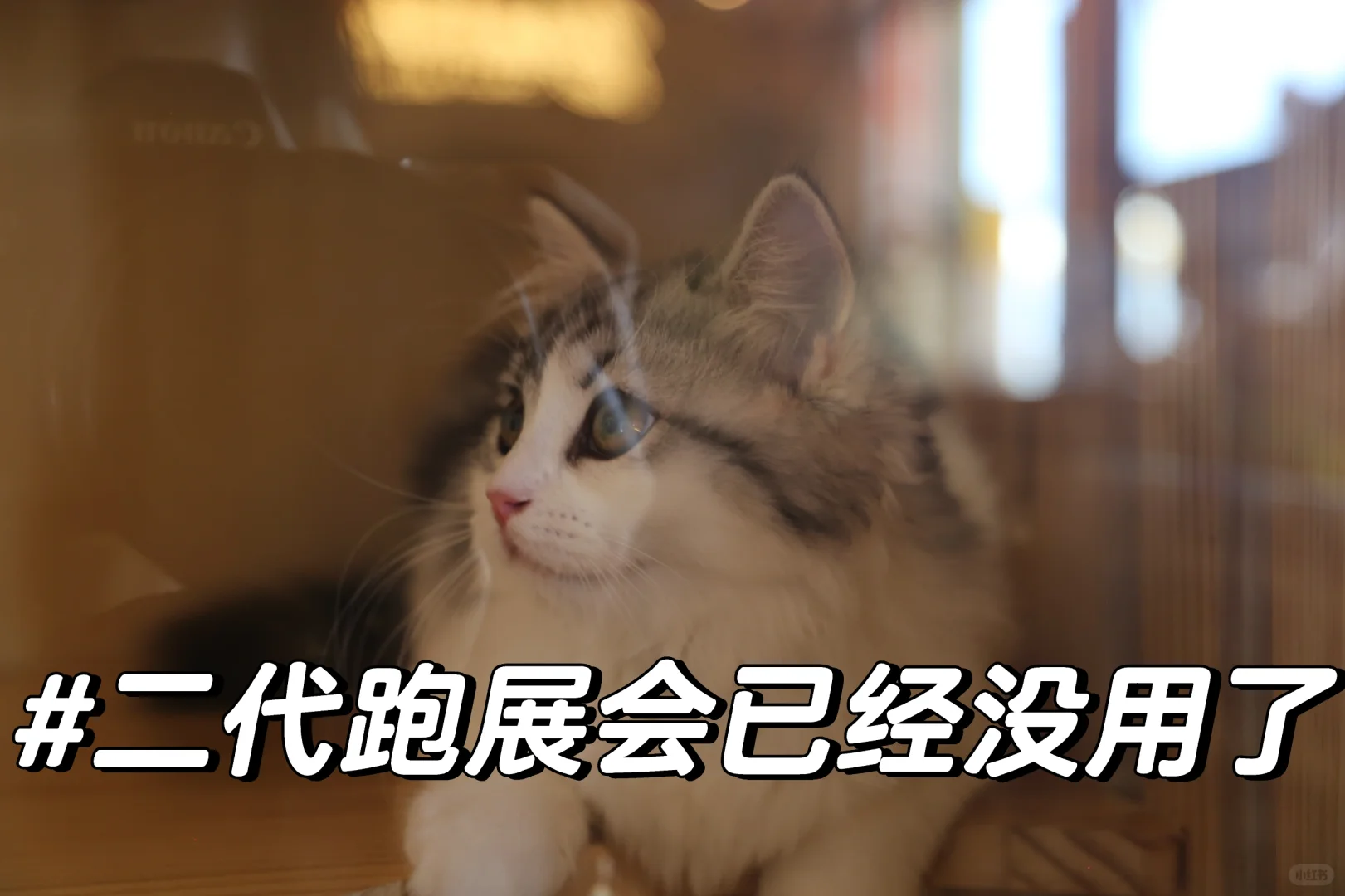 现在展会真的有去的必要吗