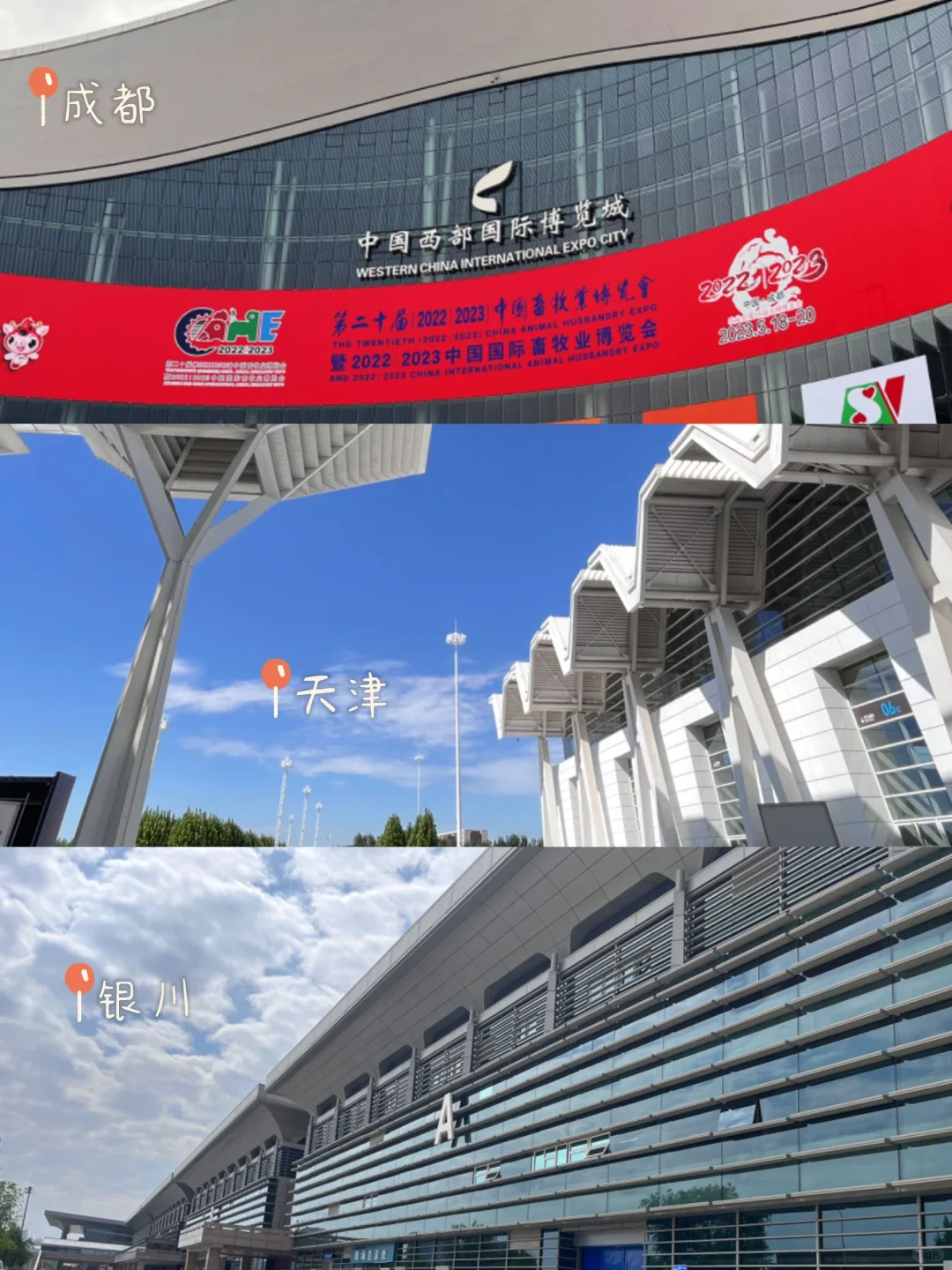 ?‍?会展人的职业病