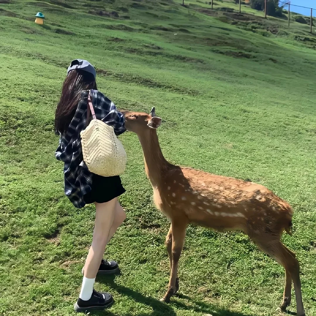 ?????? 头像| 清新治愈绿色系列女头