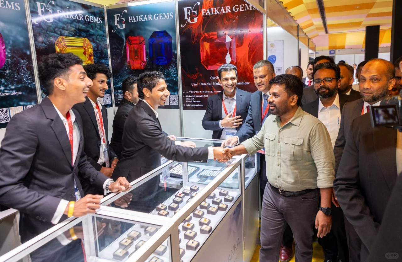 斯里兰卡总统，主持宝石展览会