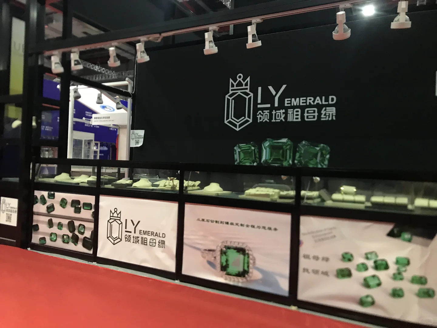 中国国际进口博览会，我们领域又又又来啦