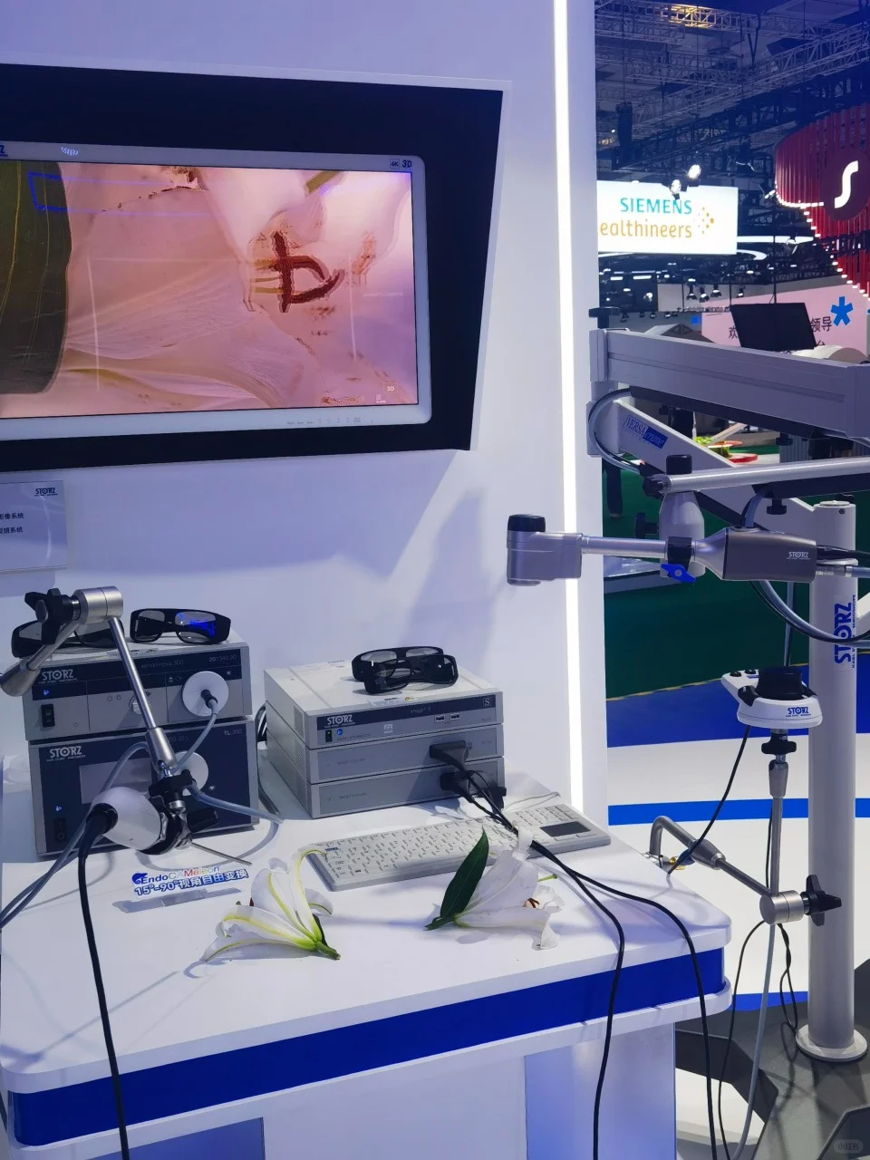 2024进博会现场实拍图（科技篇）