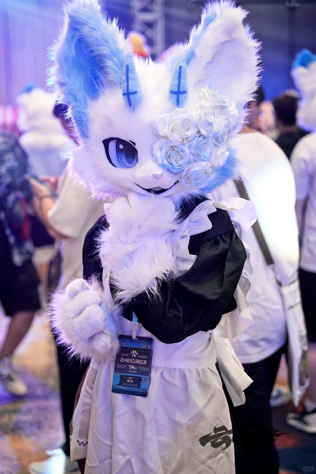 芜湖新次元微光博览会自由行申请