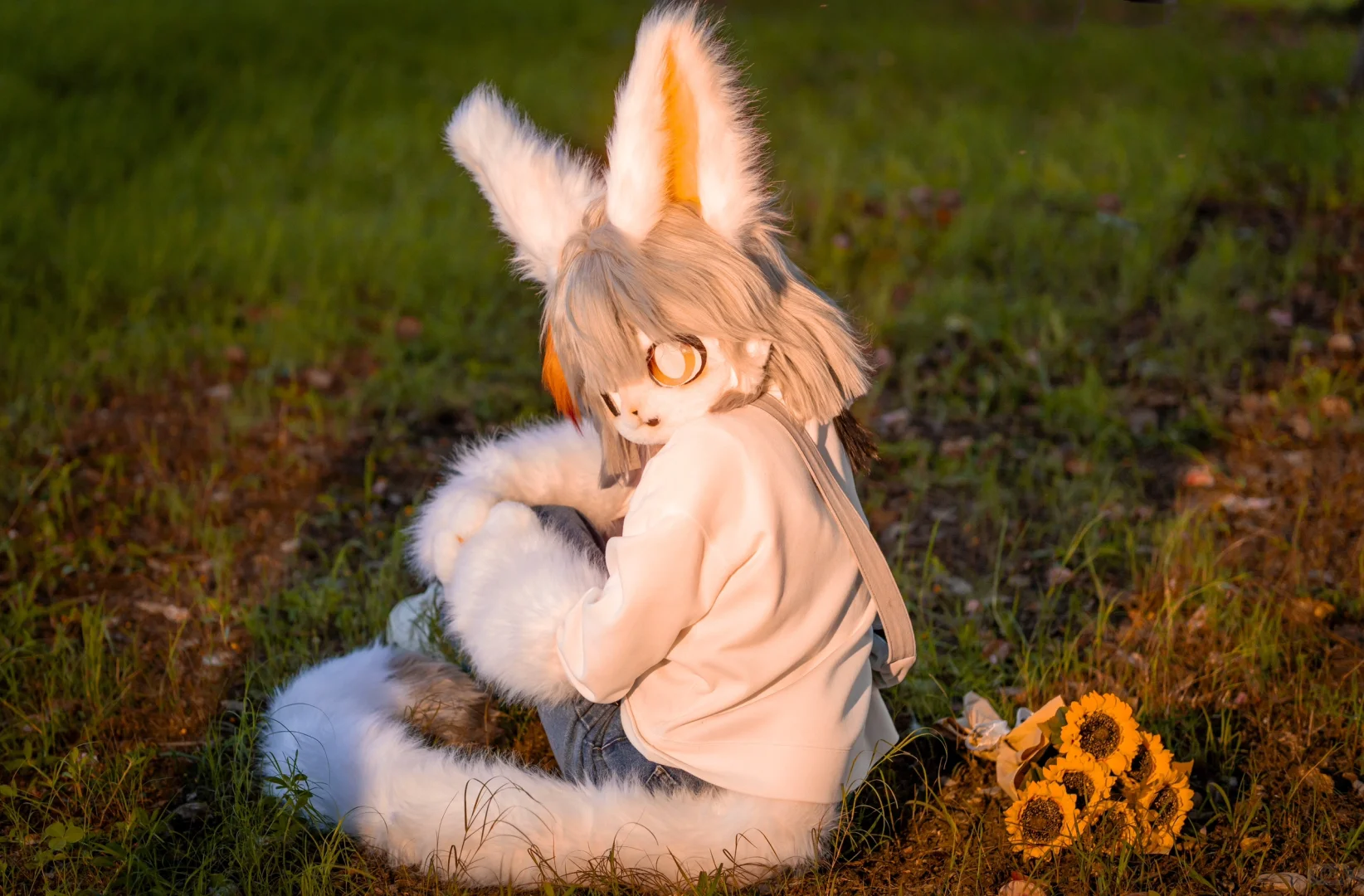 芜湖新次元微光博览会自由行申请