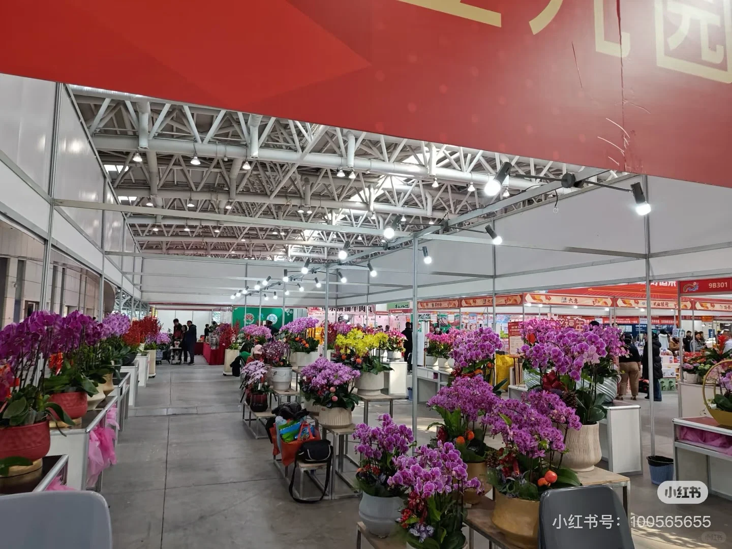 来福州会展中心买年货了【已满】