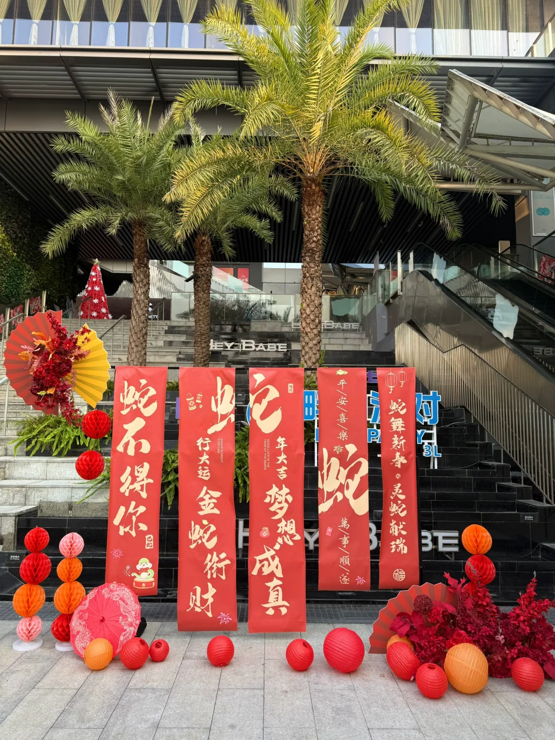 在会展山|这里真的太适合拍照辣❤️