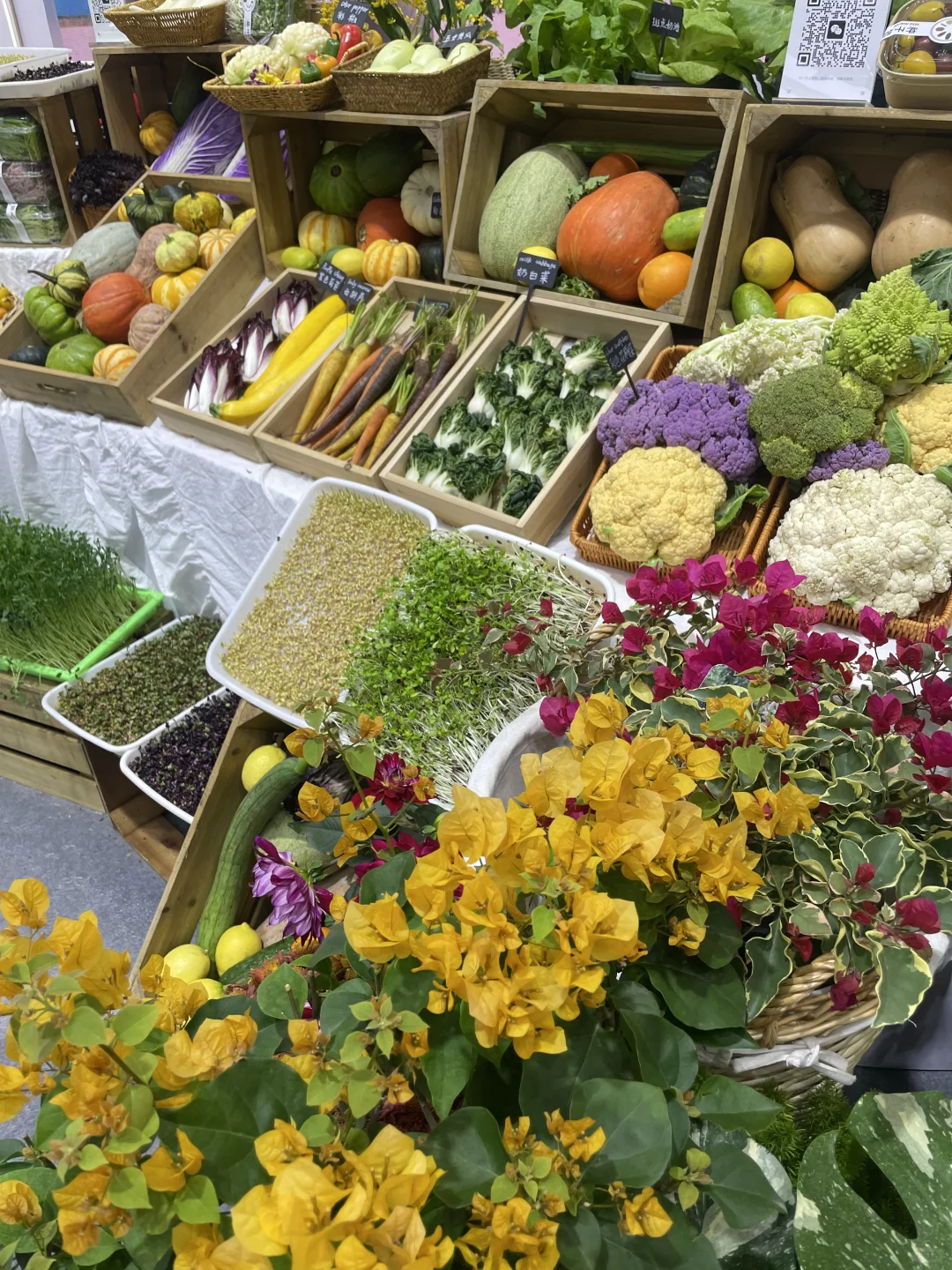 怒逛五小时农博会