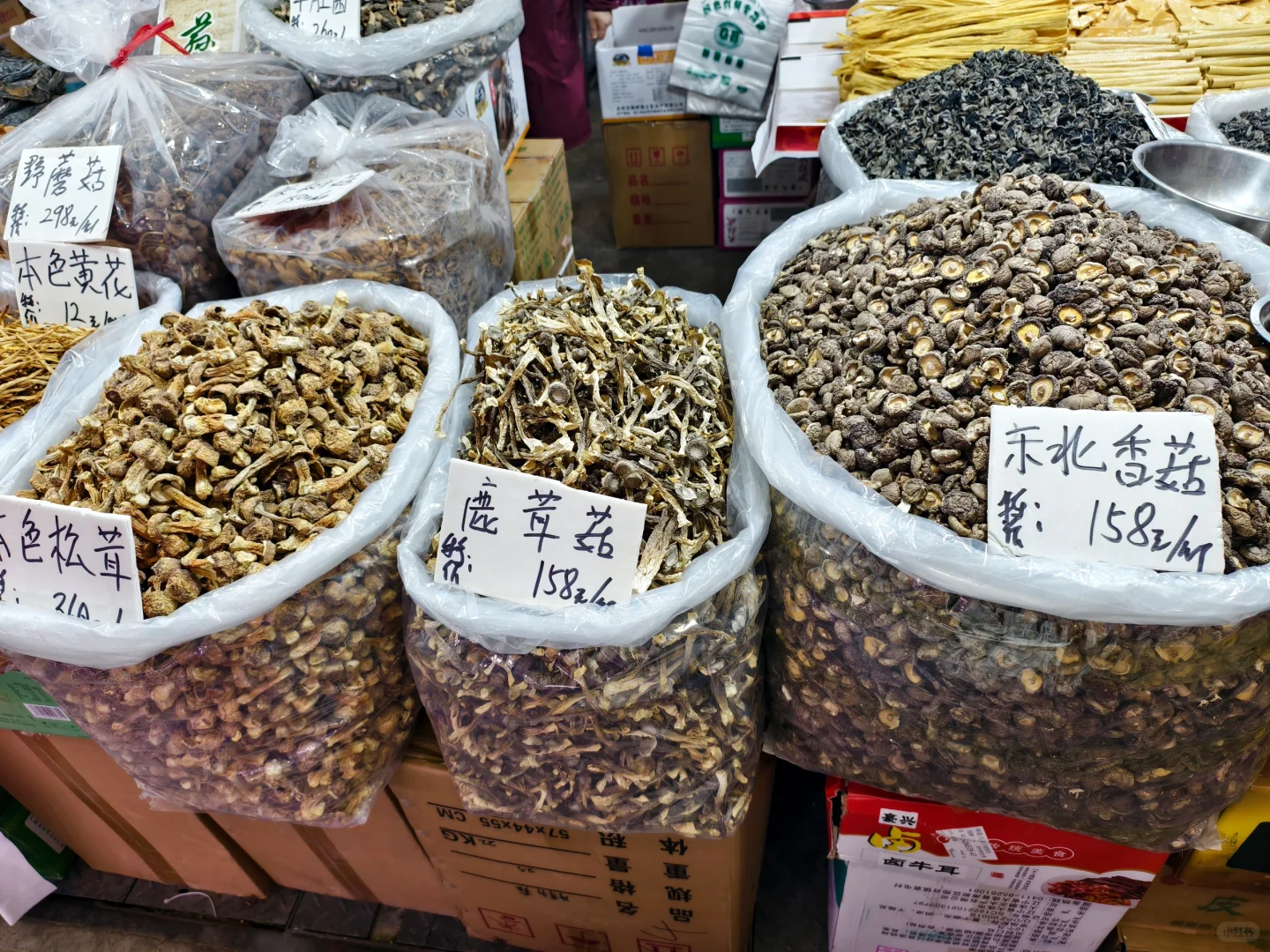 新疆新春年货博览会有什么？小建议…