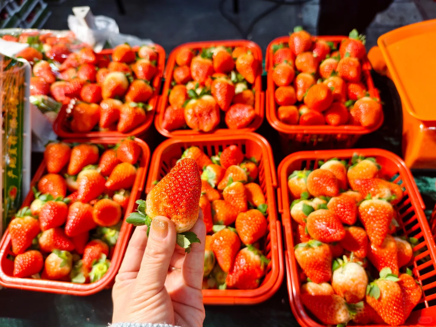 新疆新春年货博览会有什么？小建议…