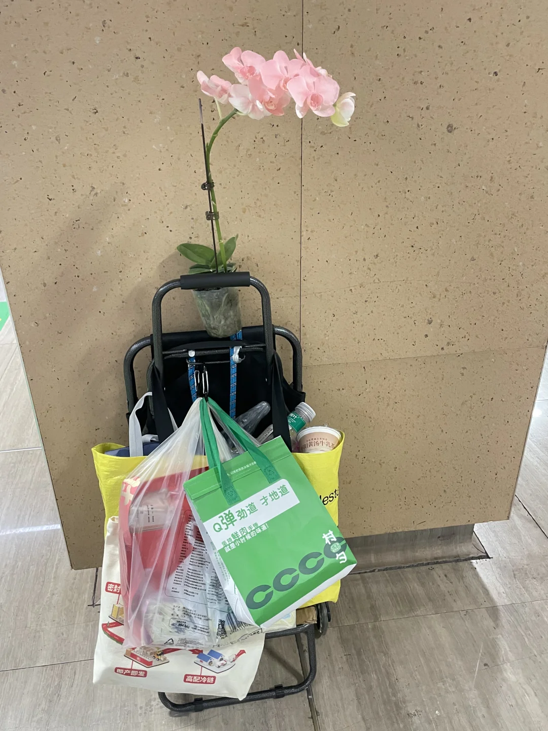 怒逛五小时农博会