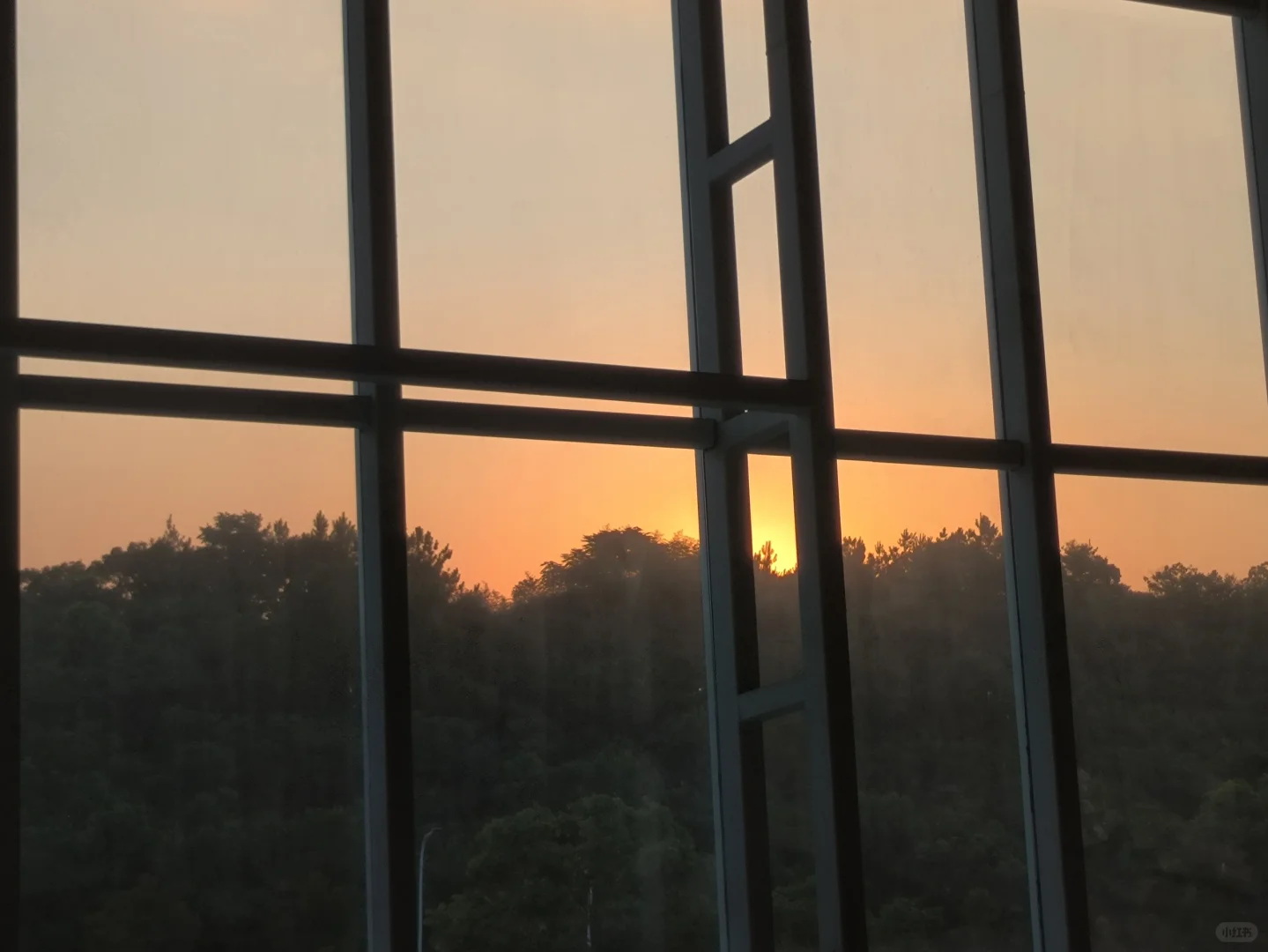 会展中心到底干嘛的？某国企运营解读！