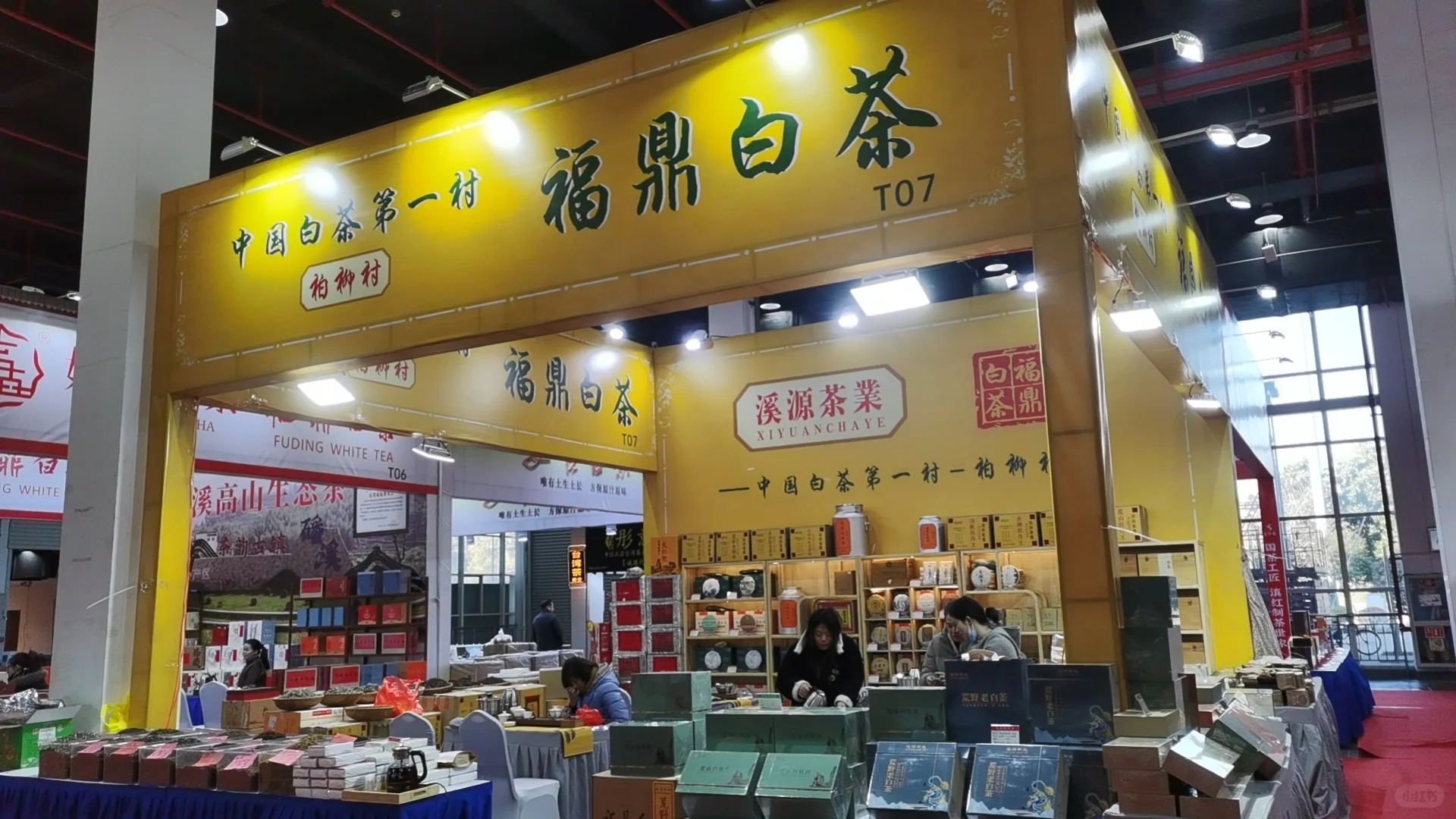 嘉兴茶文化博览会