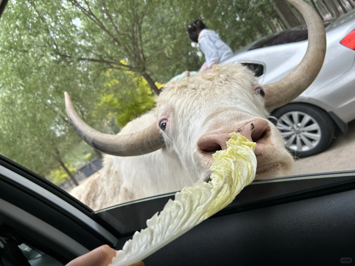 带娃自驾-北京出发河北转一转