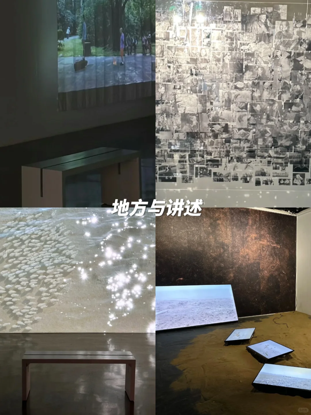 上海1月高质量?免费展合集｜不可错过‼️