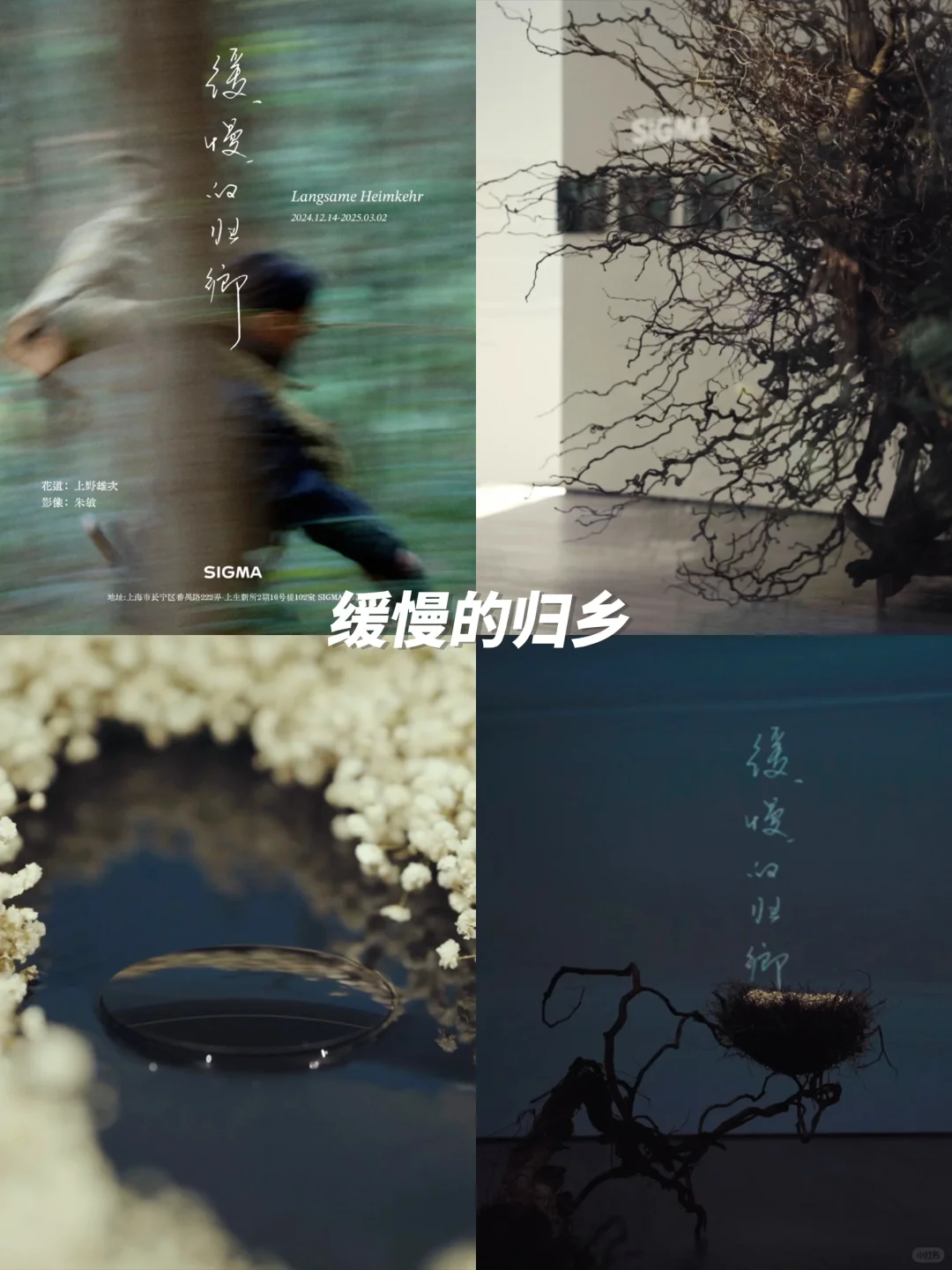 上海1月高质量?免费展合集｜不可错过‼️