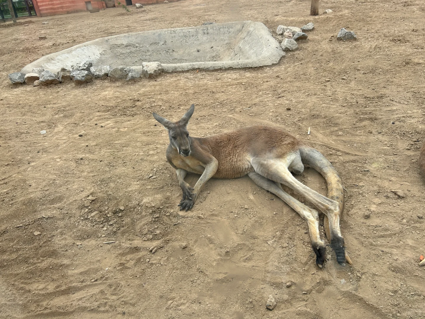 带娃自驾-北京出发河北转一转