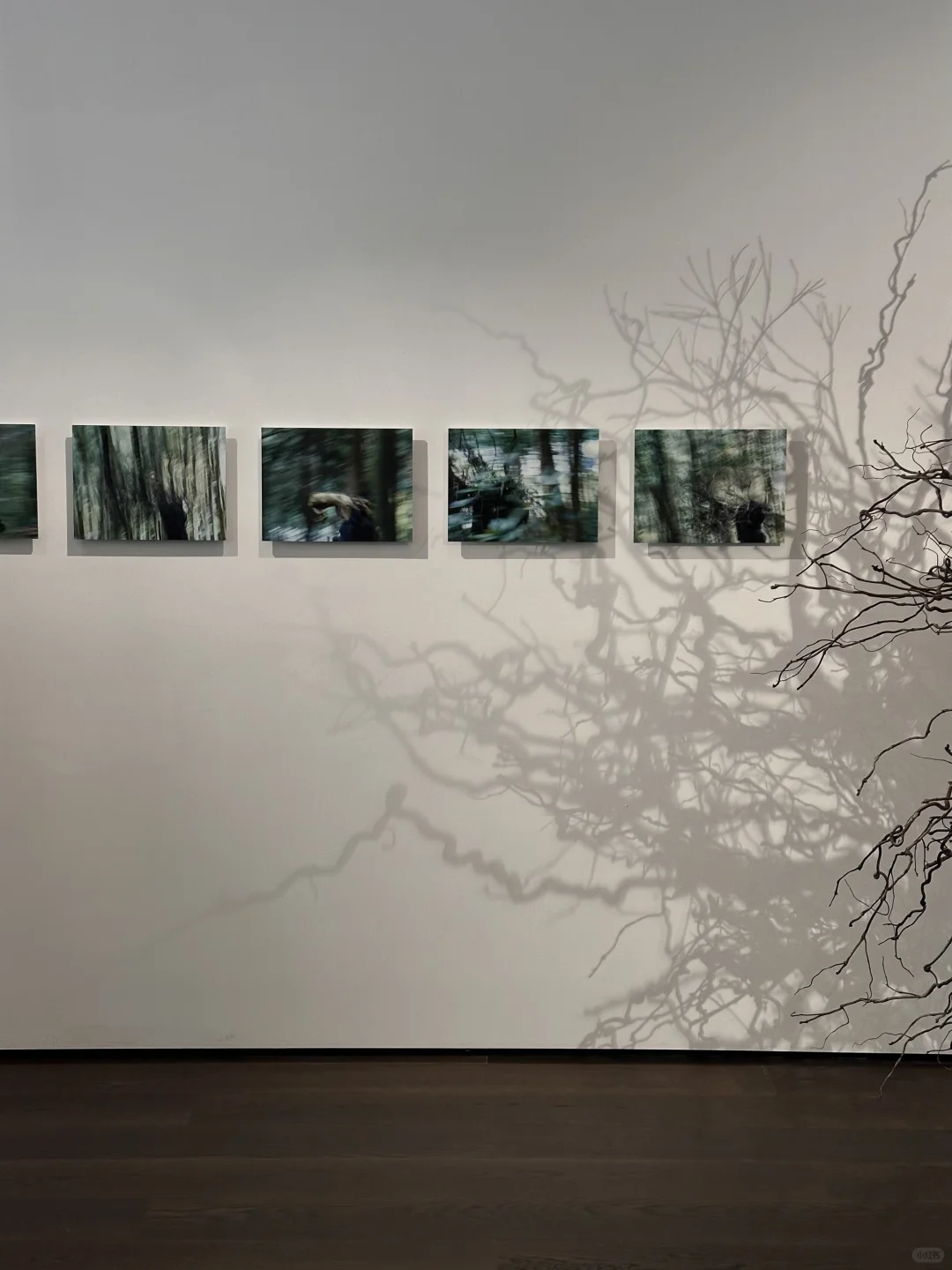 上海新展｜Like water through a river?