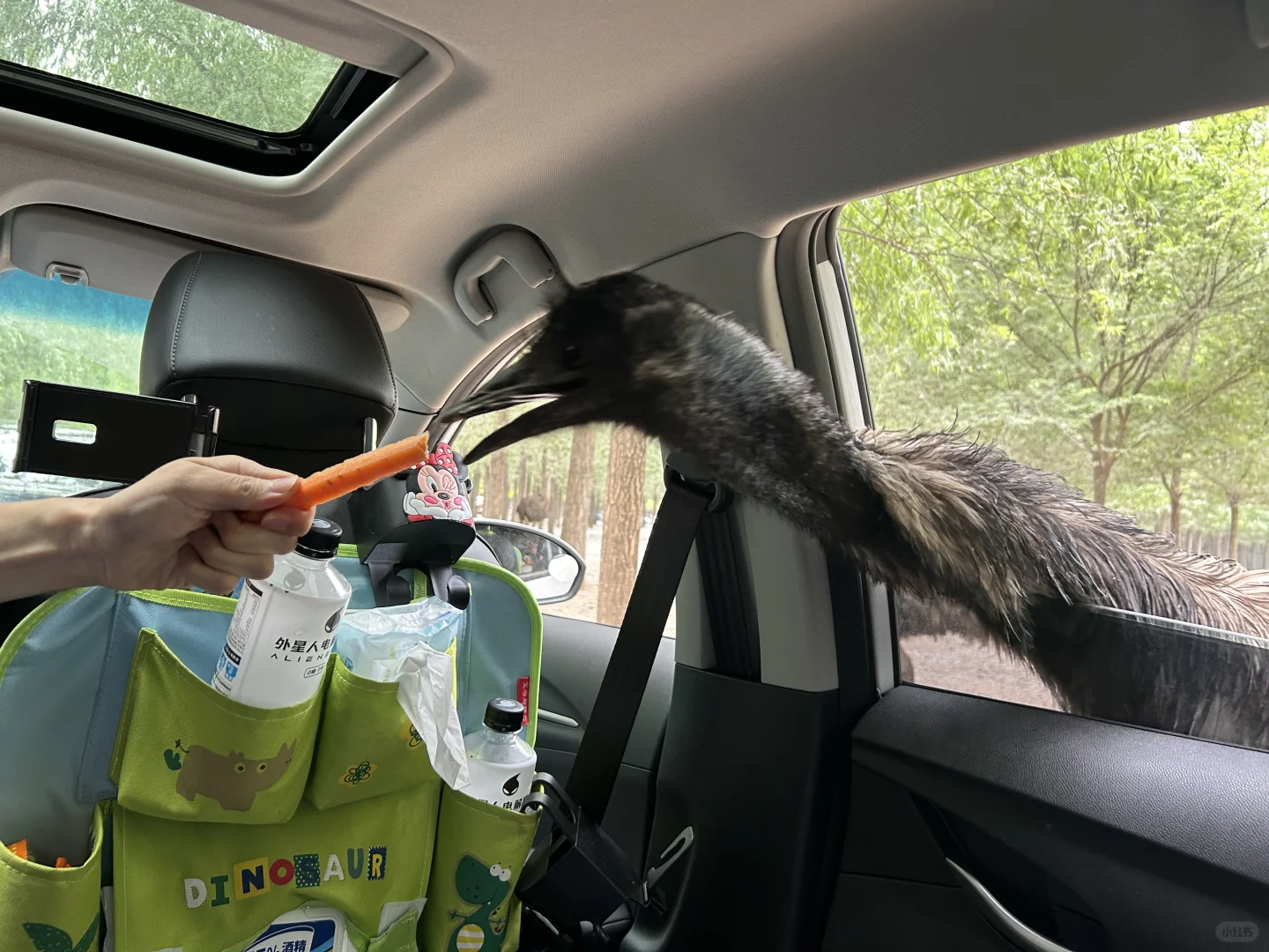 带娃自驾-北京出发河北转一转