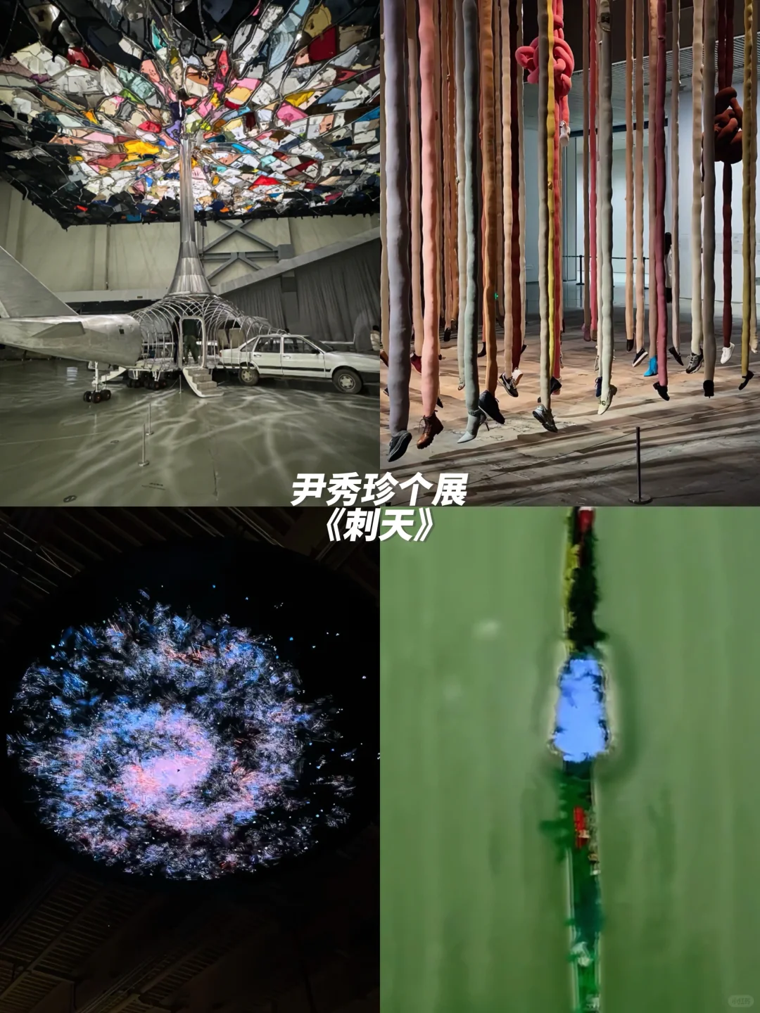 上海1月高质量?免费展合集｜不可错过‼️