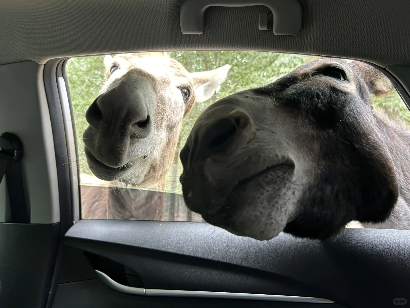 带娃自驾-北京出发河北转一转