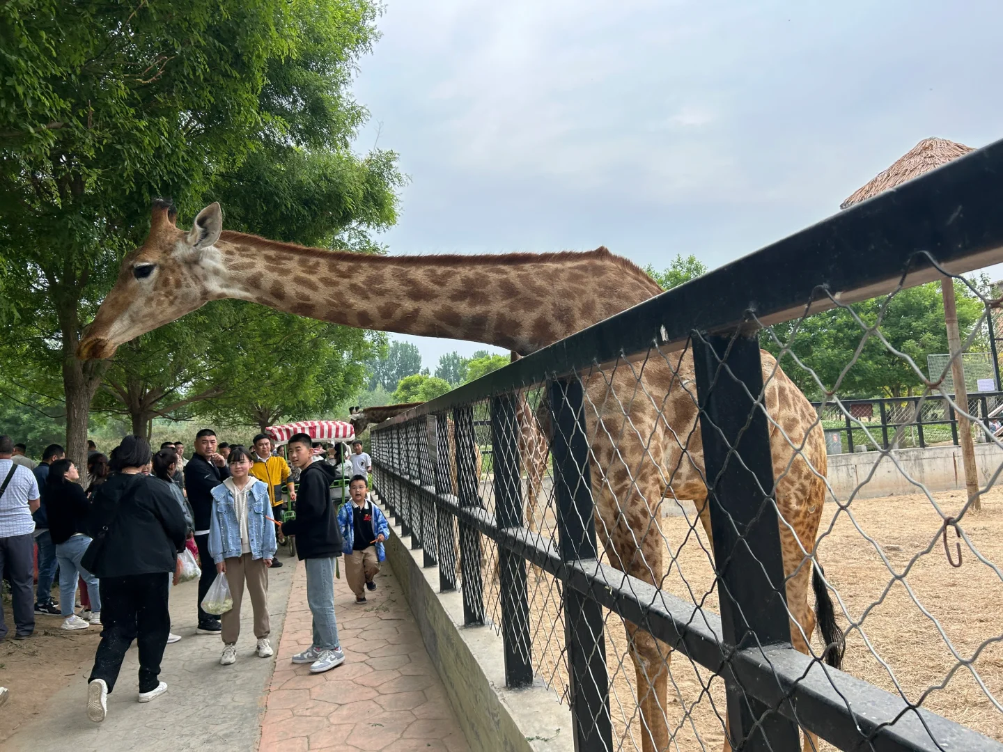 带娃自驾-北京出发河北转一转