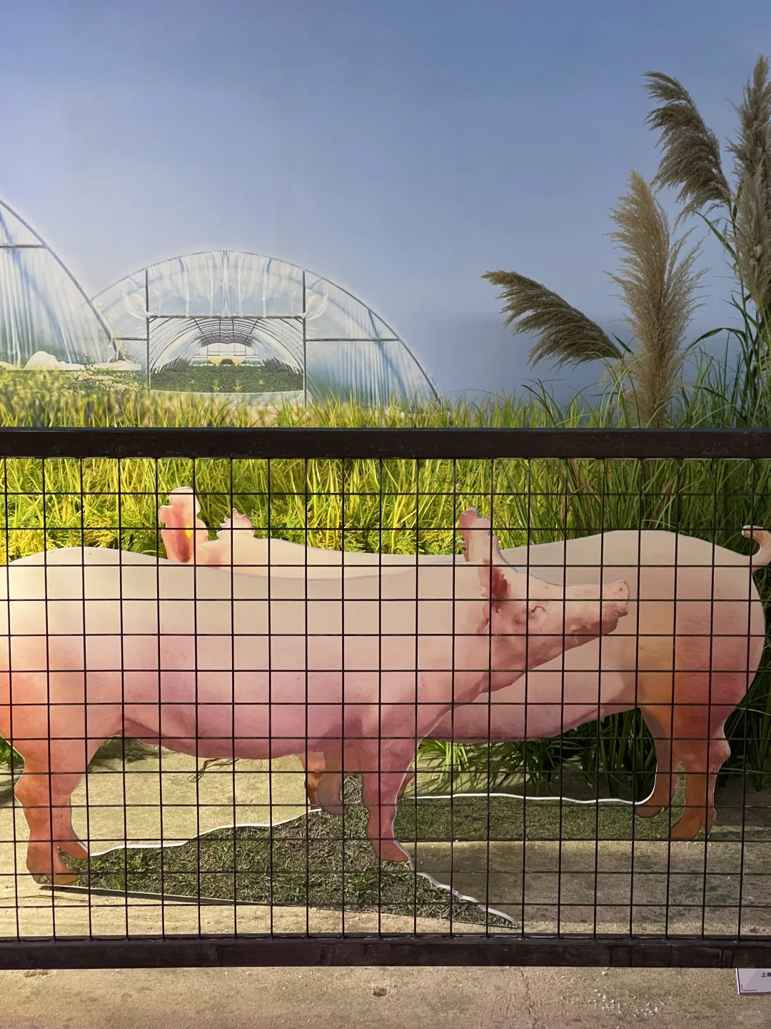 在上海展览中心摸到奥运金牌啦?