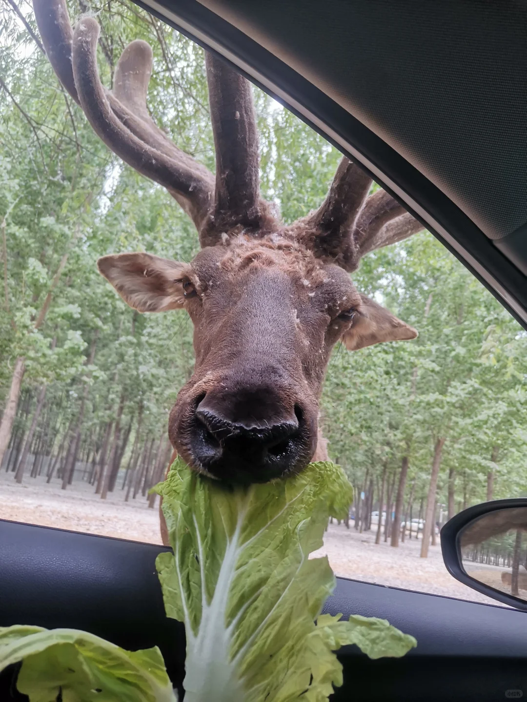 带娃自驾-北京出发河北转一转