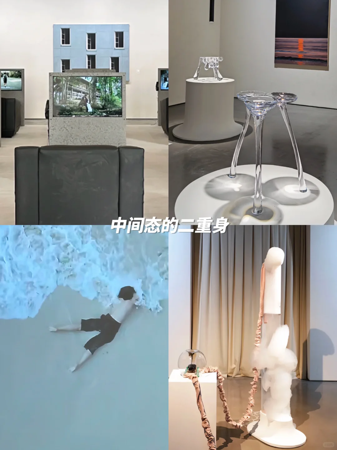 上海1月高质量?免费展合集｜不可错过‼️