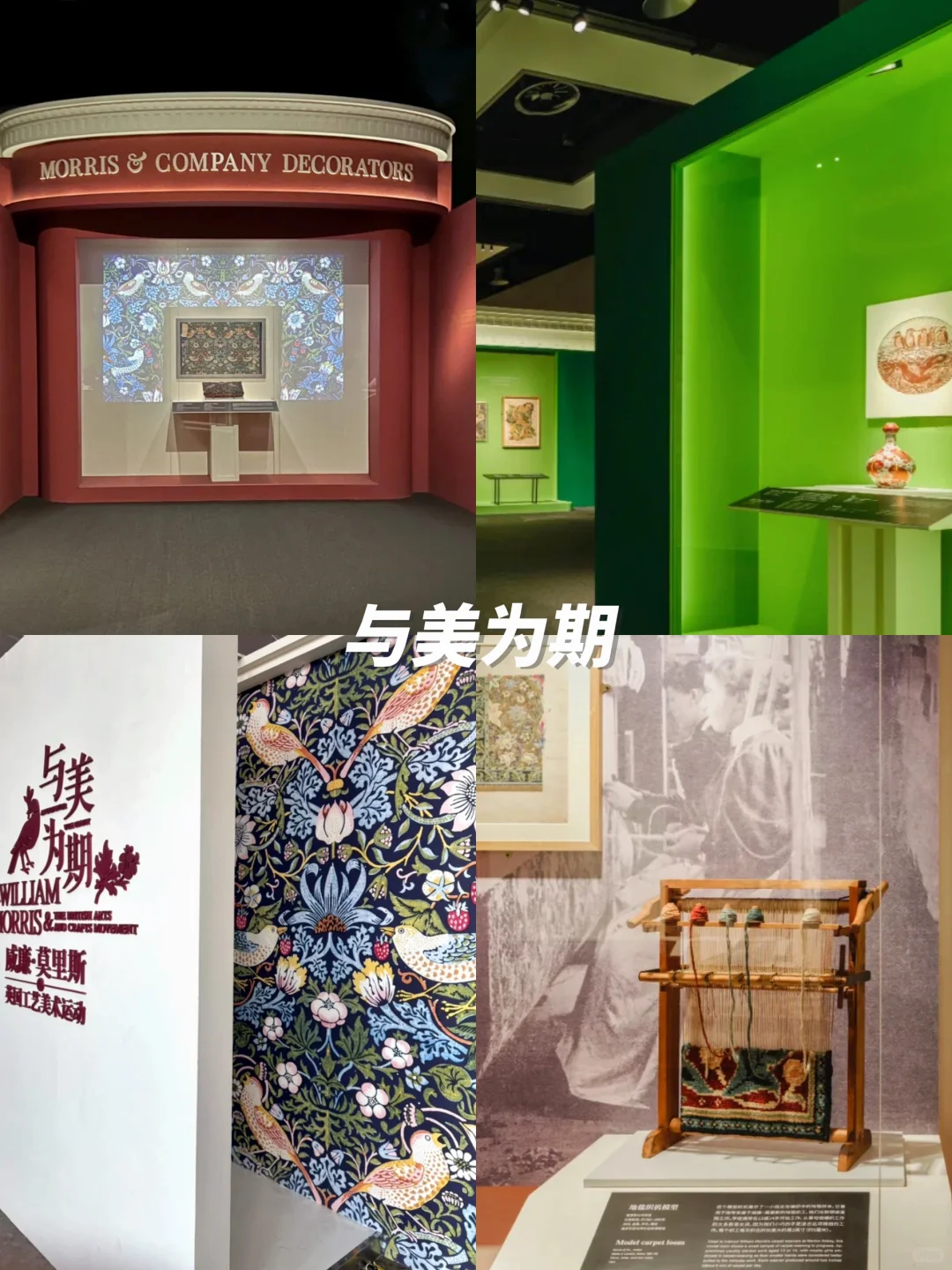 上海1月高质量?免费展合集｜不可错过‼️