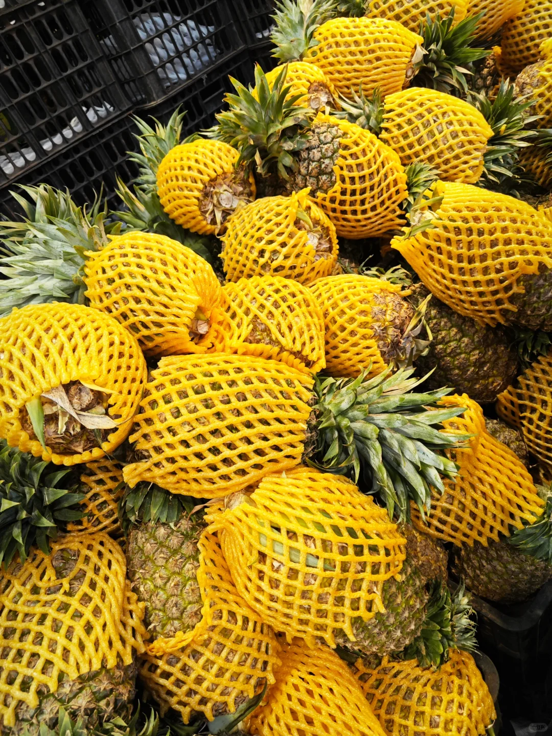 我愿称之为:南京最好吃的展。小众逛吃展