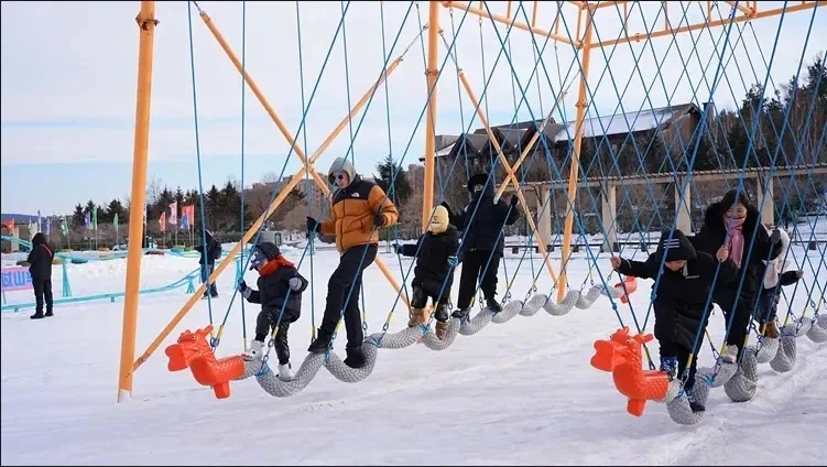 1月16日吉林（长春）冬季农业博览会华丽启幕
