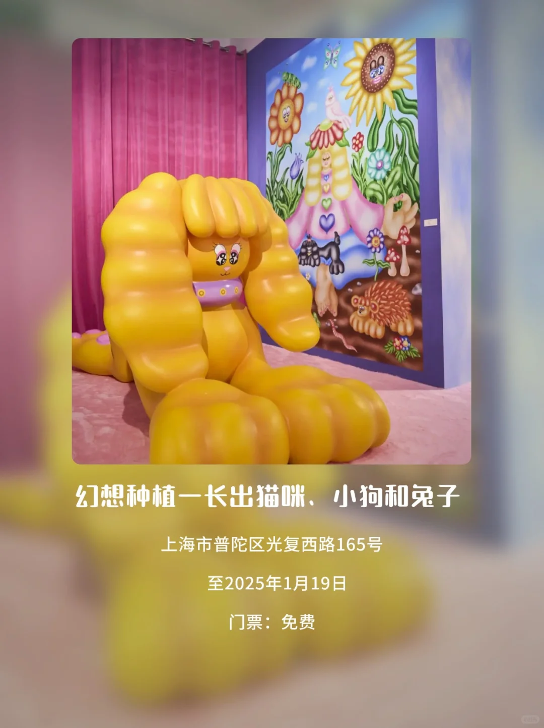 上海2025年1月免费展览合集来啦！