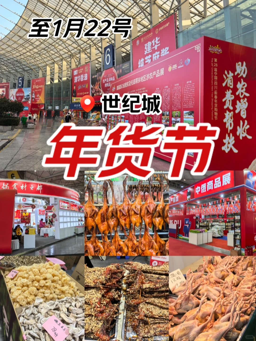 成都年货节—新会展中心