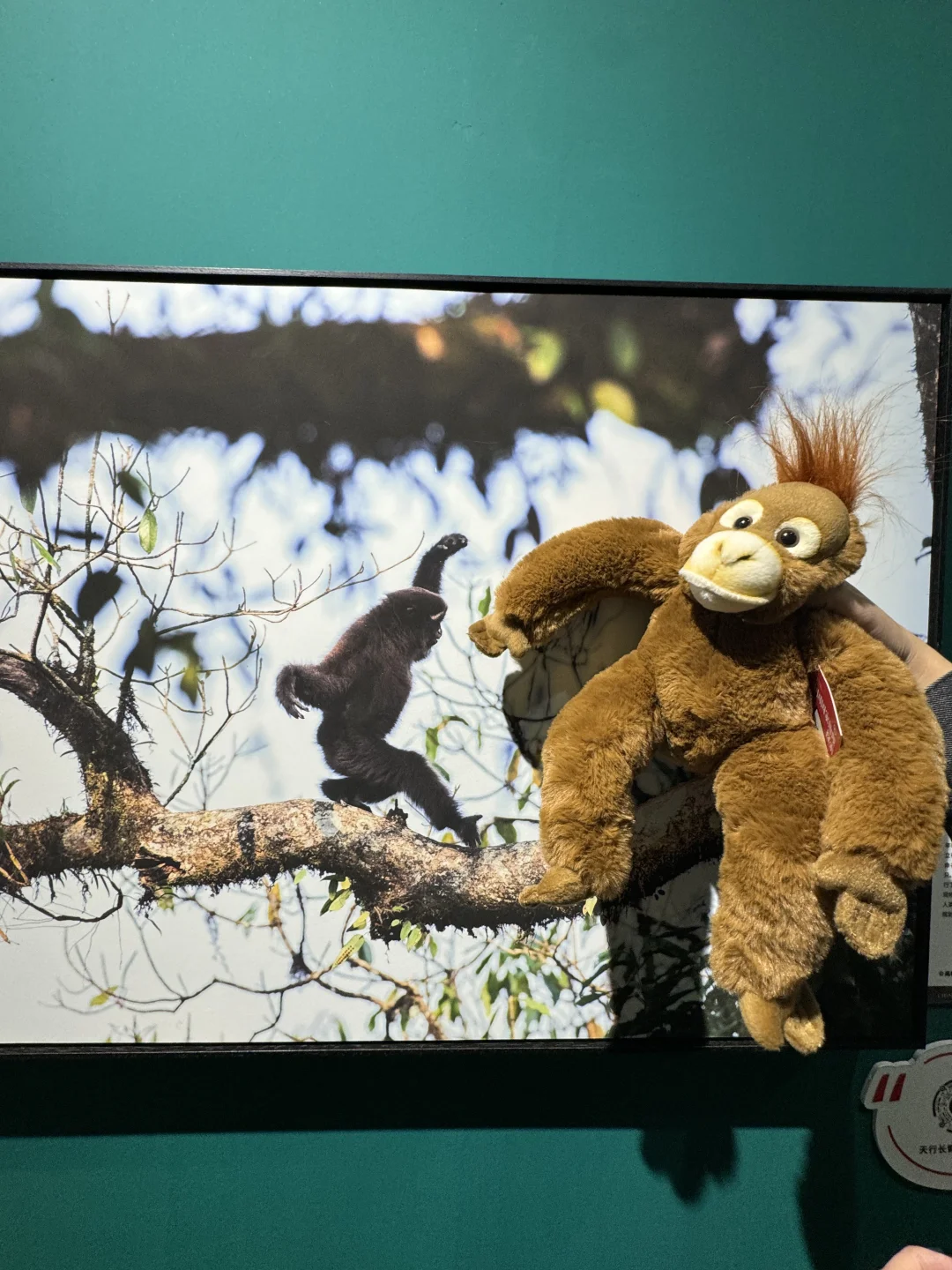 福州新展！知道的人还不多！！超出片快去！