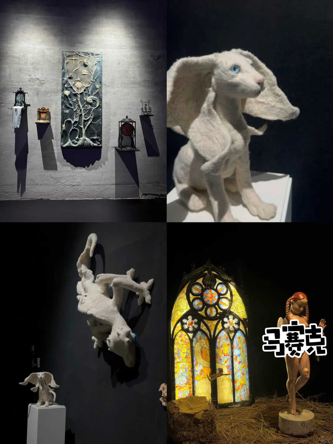 深圳新展｜我进入了四维世界❗️震撼住了✔️