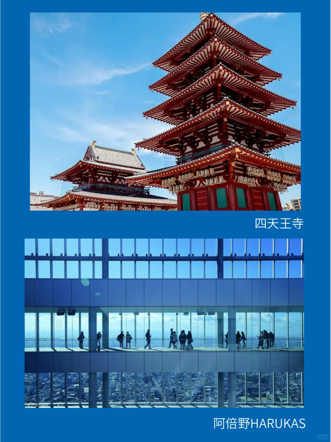 2025大阪世博会の超全保姆攻略❗️看完秒懂