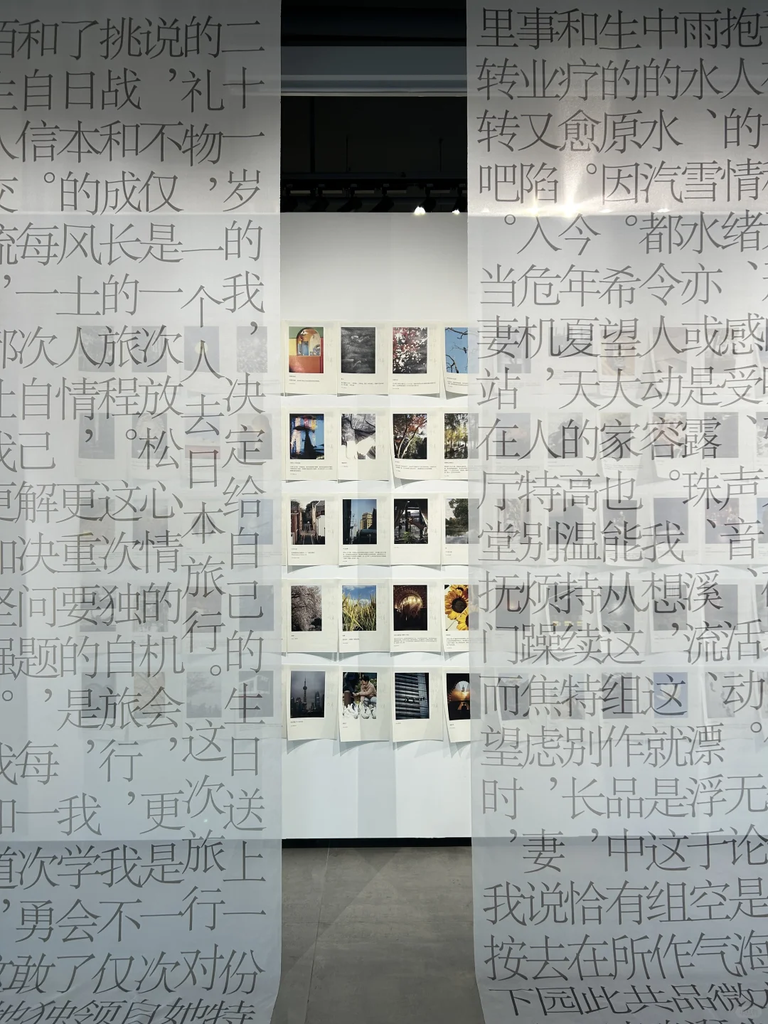 上海梧桐区免费展览路线 一次性看6个展