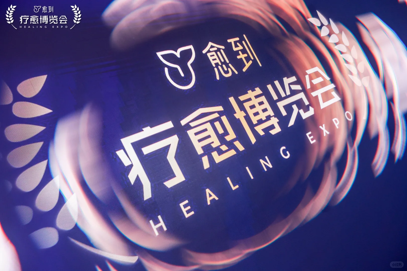 疗愈博览会第二天的参会感受（大咖篇）