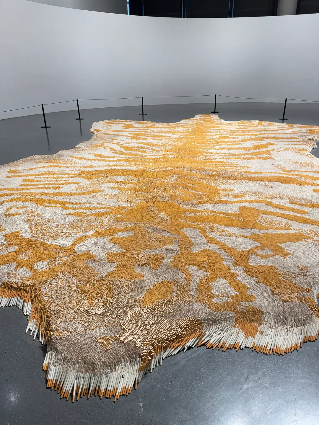 成都天府艺术馆……几十万只烟的展…….好震撼