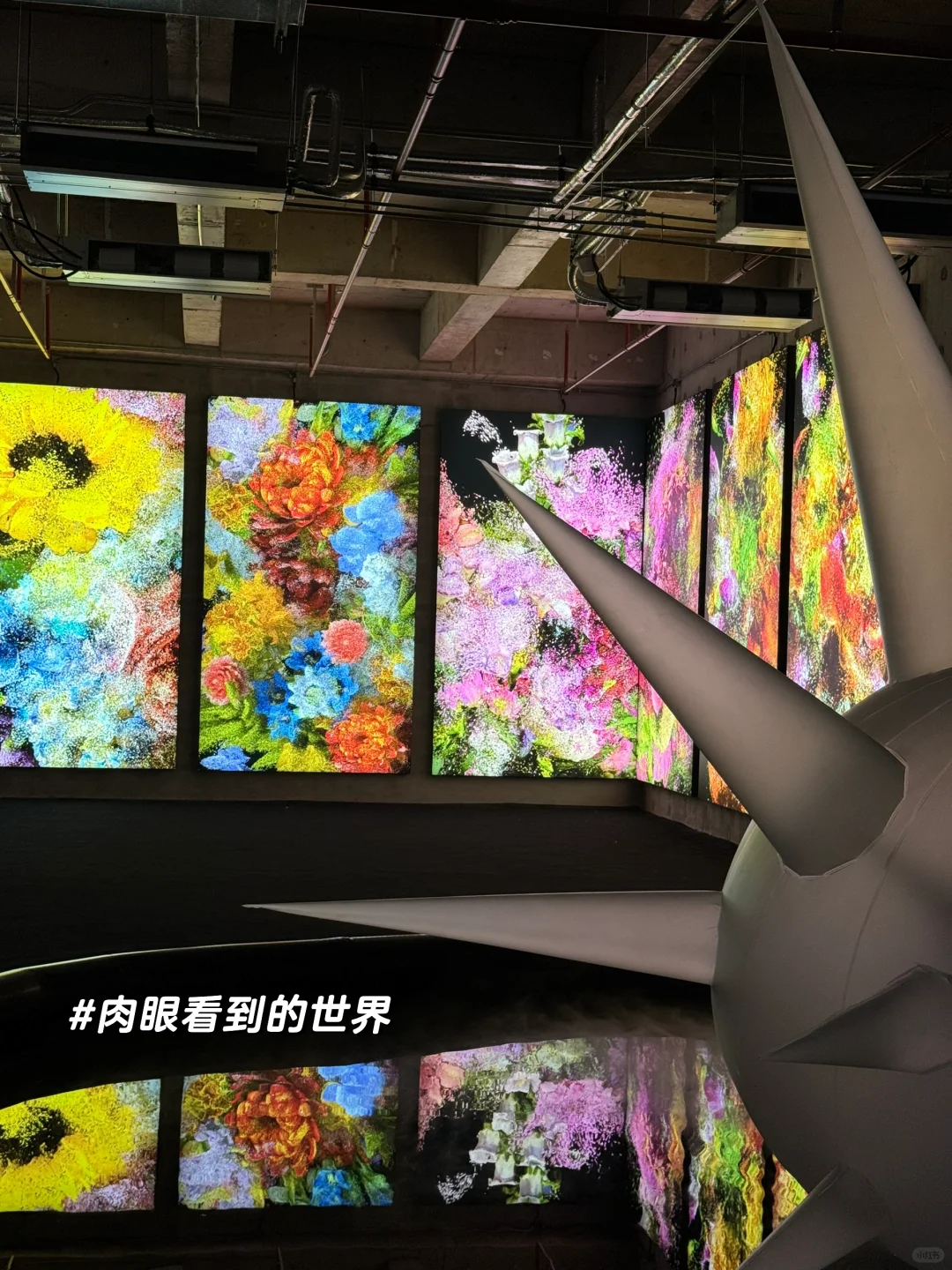 深圳新展｜我进入了四维世界❗️震撼住了✔️