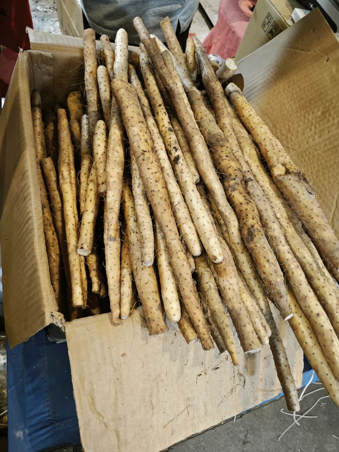 我愿称之为:南京最好吃的展。小众逛吃展