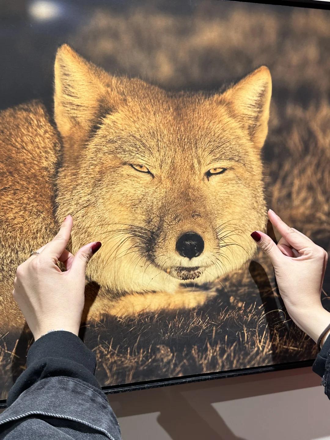 福州新展！知道的人还不多！！超出片快去！