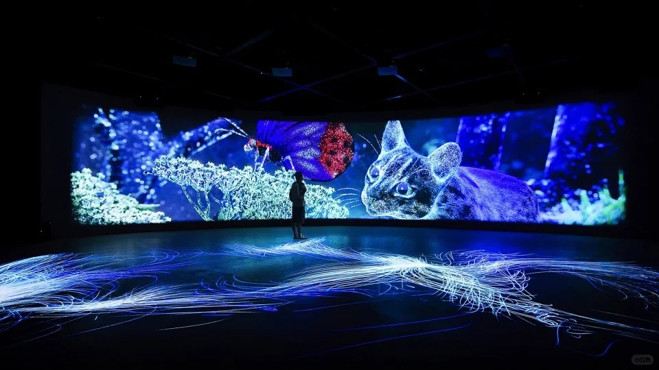 台中“在台中看见半个地球”发现馆 台中“在